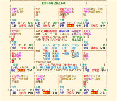 能否帮我看一下命盘，以下命盘是什麽意思？