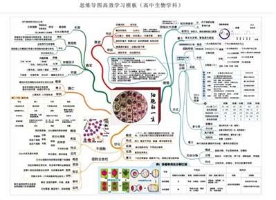 高中生物各版本有什么区别？我想听些网课，但找不到浙教版。