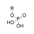 磷酸酯跟甲苯二异氰酸酯有什么区别？