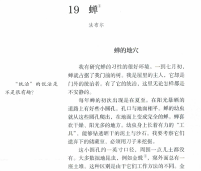 什么样的钹声能响亮到足以歌颂它那来之不易的刹那欢愉呢？是什么手法