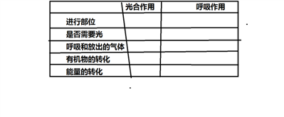 这个空怎么填？