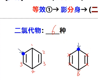 苯二氯代物