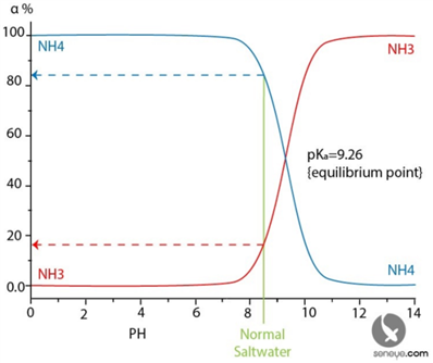 在氨水中NH3占氮元素所有存在形式中的多少比例？