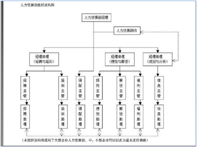 请问人力资源公司的组织架构图怎么做