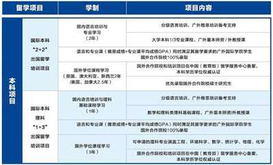 国际本科项目是什么