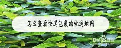 能否介绍下哪个站可以查询物流轨迹