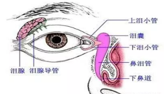 晚上一睡就流泪