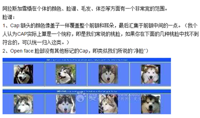 阿拉斯加雪橇犬为什么要看十字