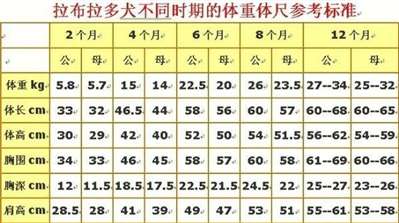 3个月大的拉布拉多犬正常体重是多少