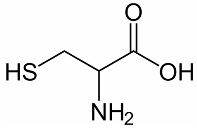 为什么半胱氨酸具有美白功能？