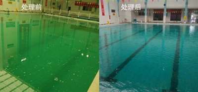 游泳池水发绿是什么原因？