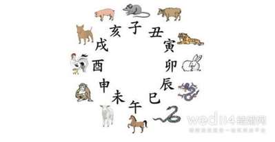 什么书买不到？猜个生肖动物？（提示：遗书）