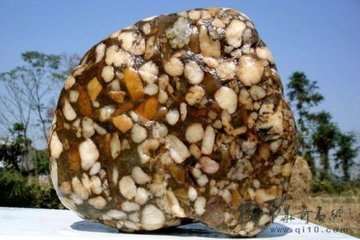 这是什么石头啊？感觉上面有很多虫子？是化石吗？价值怎么样？
