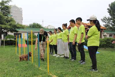 学习宠物美容怎么样